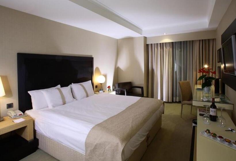 اتاق استاندارد با تخت بزرگ, Sundance Istanbul