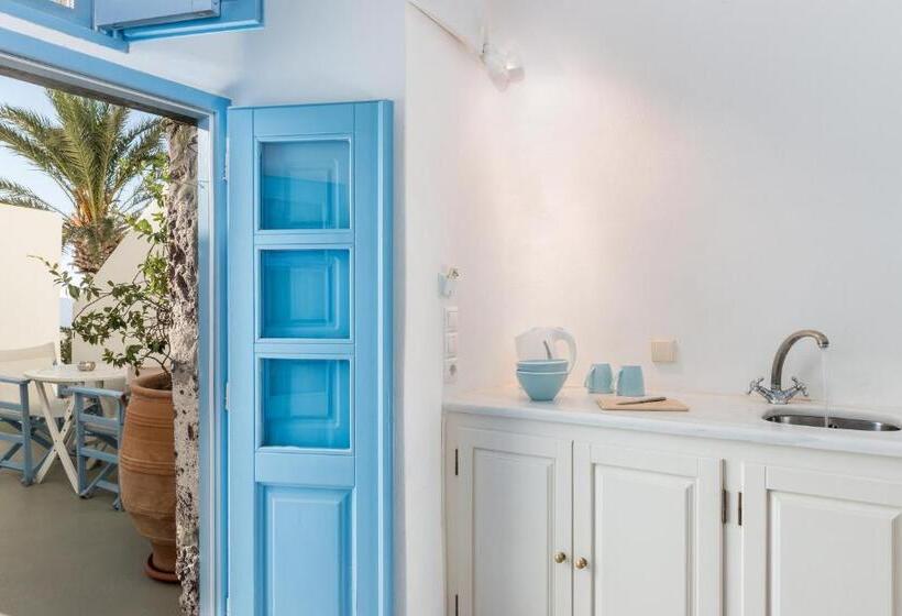 Представительский люкс с видом, Pantelia Suites