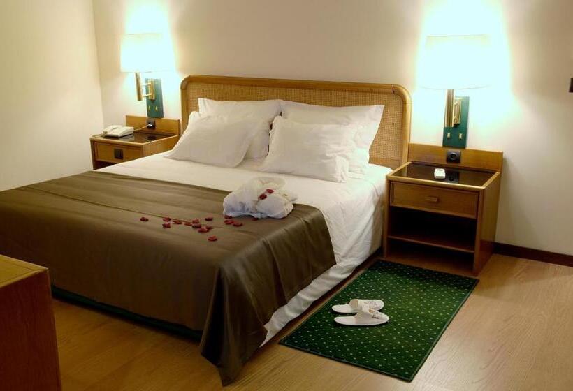 スタンダードルーム, Palace Hotel & Spa   Termas De Sao Vicente