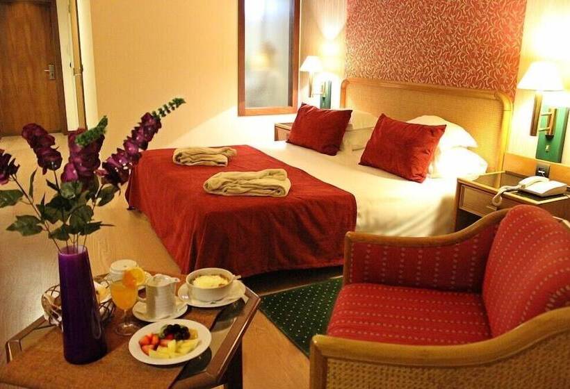 スタンダードルーム, Palace Hotel & Spa   Termas De Sao Vicente