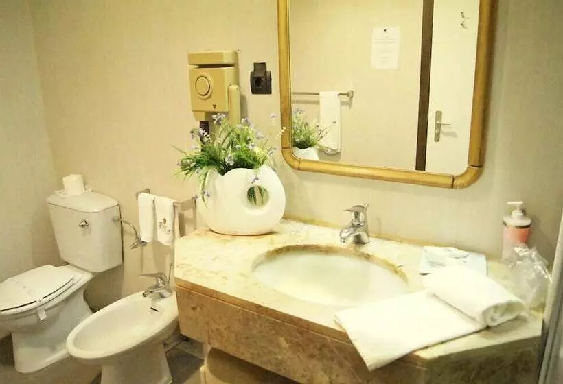 スタンダードルーム, Palace Hotel & Spa   Termas De Sao Vicente