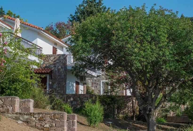 بنجلو قياسى مطلّ علي الحديقة, Delfinia Hotel & Bungalows