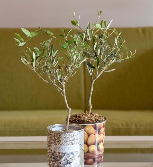 Superior suite with pool view, Arte & Mare Elia Luxury Suites And Villas