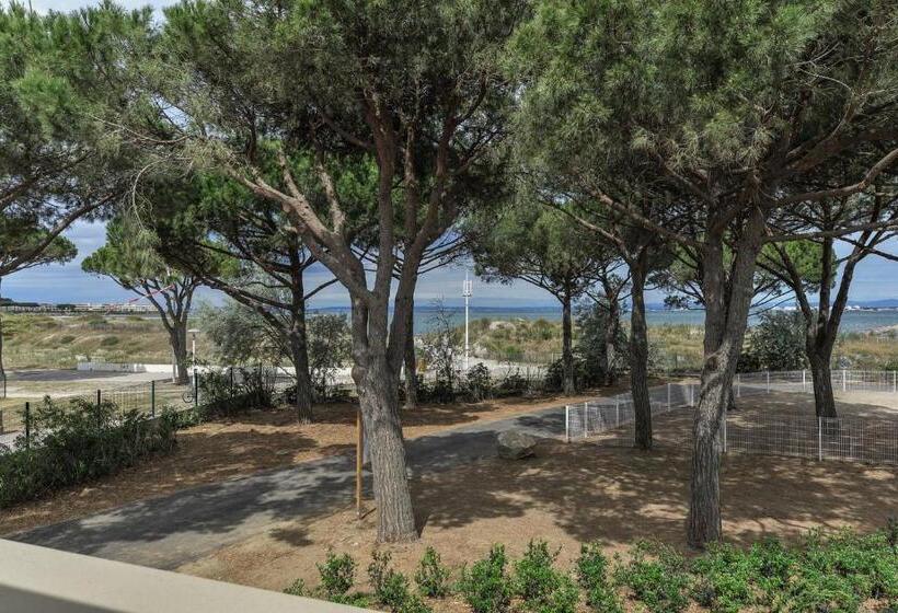 Апартаменты 1 Спальня, Belambra Clubs Port Camargue   Les Salins