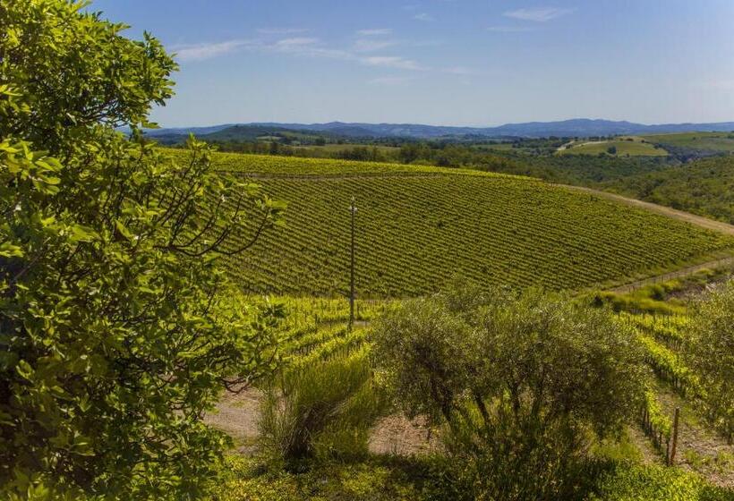 غرفة قياسية, Fattoria Di Magliano Winery