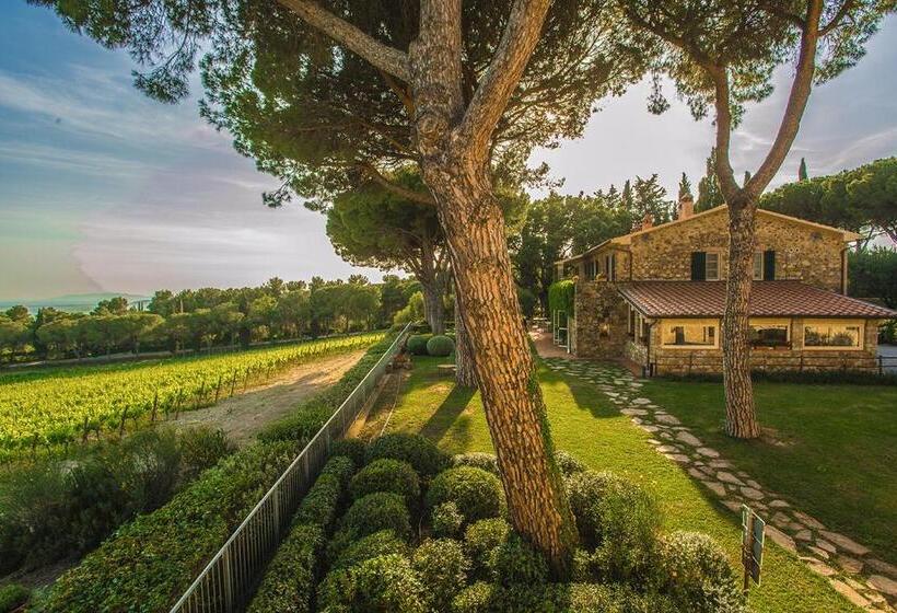 غرفة قياسية, Fattoria Di Magliano Winery