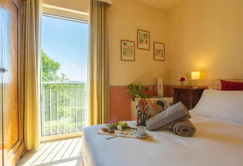 غرفة أساسية, Fattoria Di Magliano Winery