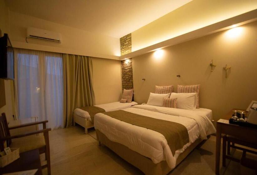 غرفة قياسية ثلاثية مطلة علي الحديقة, Nidimos