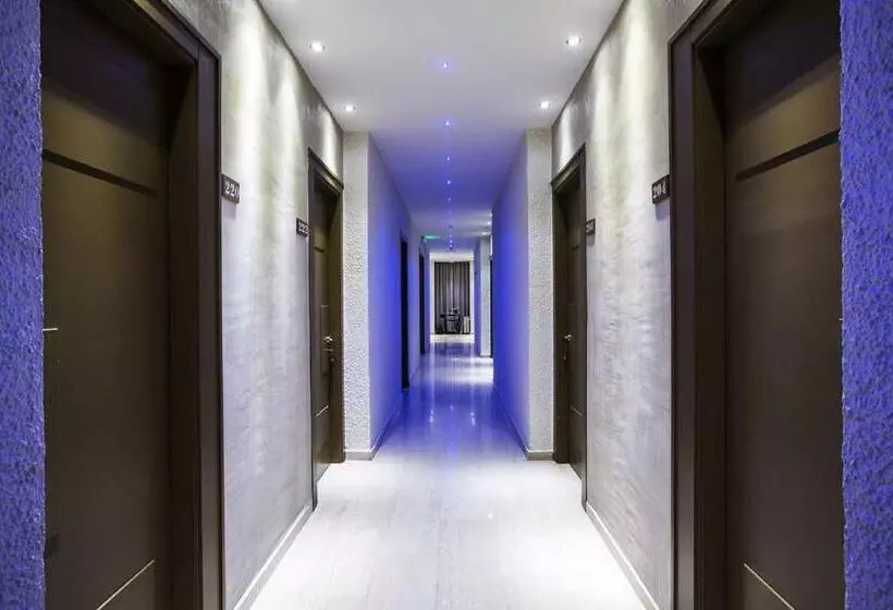 Chambre Economy, Nidimos