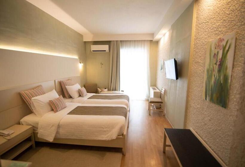 غرفة إقتصادية, Nidimos