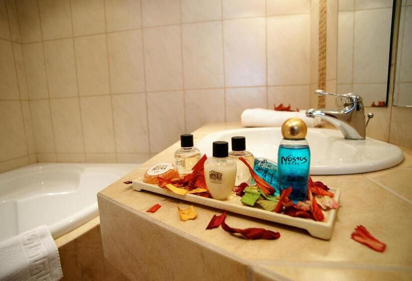 חדר סטנדרט עם מיטת קינג, Nostos