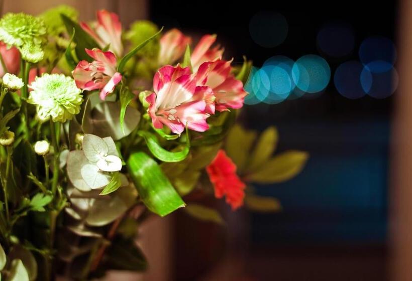 סוויטה, Paliria