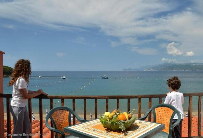 １ベッドルームアパートメント, Stella Maris