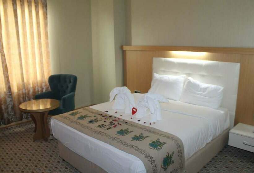 شقة غرفة واحدة, Grand Ali N Hotel Turhal