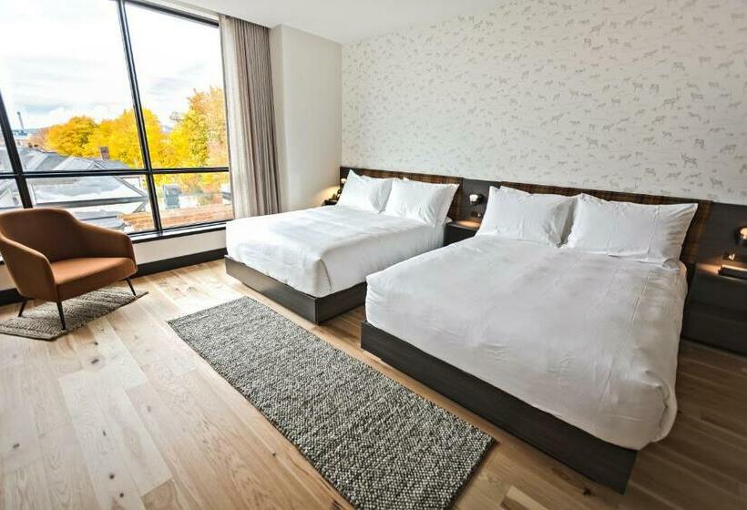 豪华套房, Hew & Draw