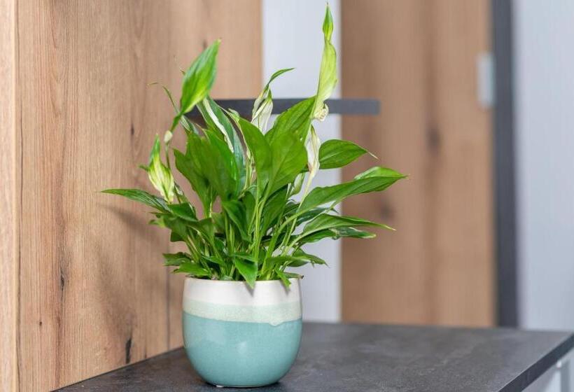 디럭스 룸, Arany Apartman Miskolc