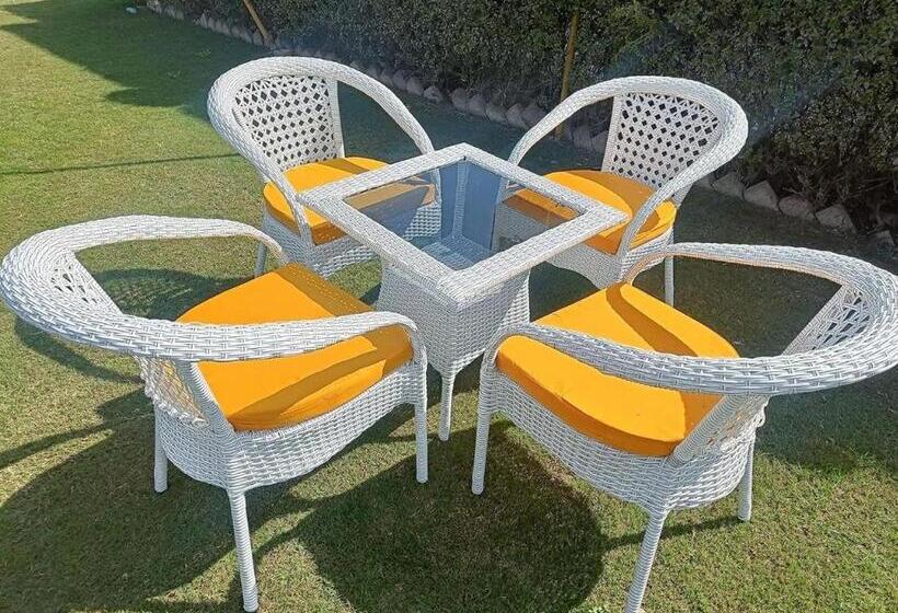 エクゼクティブスイート, Guru Surbhi