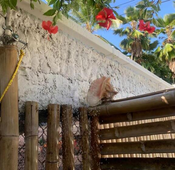 Quarto Estandar, Joebi S House Walking Distance To Rocky Cay Beach Ideal For Families Or Groups