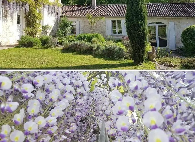 スーペリアールーム, La Loge Du Grand Cèdre, Chambre D'hôtes Socosy