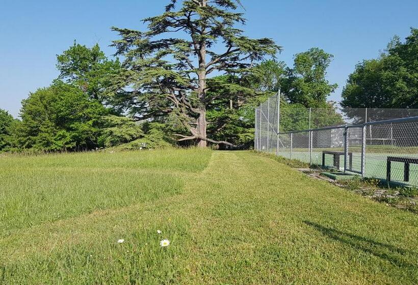 高级大房间, La Loge Du Grand Cèdre, Chambre D'hôtes Socosy