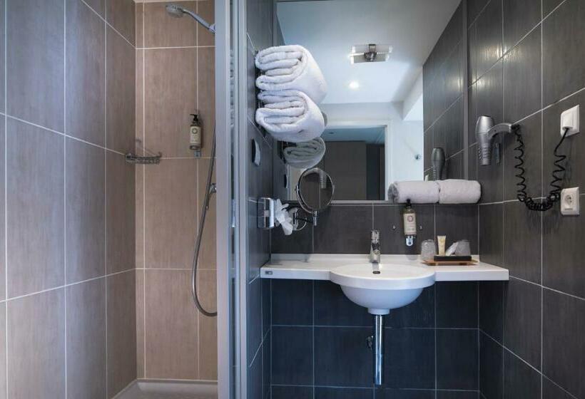 اتاق کلاسیک, Best Western Plus Hotel Les Rives Du Ter