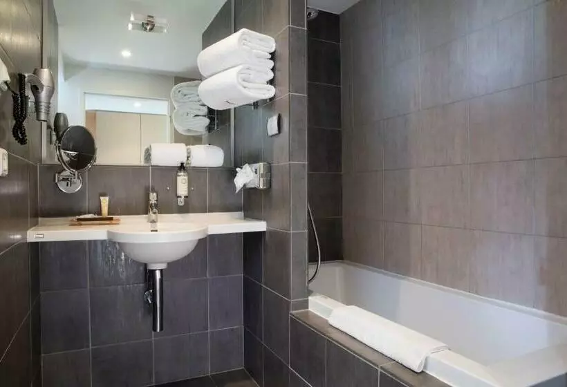 クラシックルーム, Best Western Plus Hotel Les Rives Du Ter