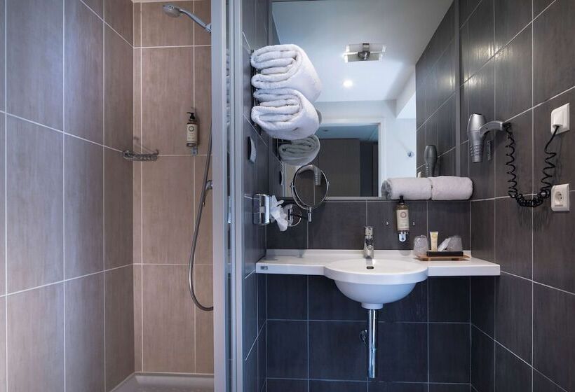 Superior room with lake view, Best Western Plus Hotel Les Rives Du Ter