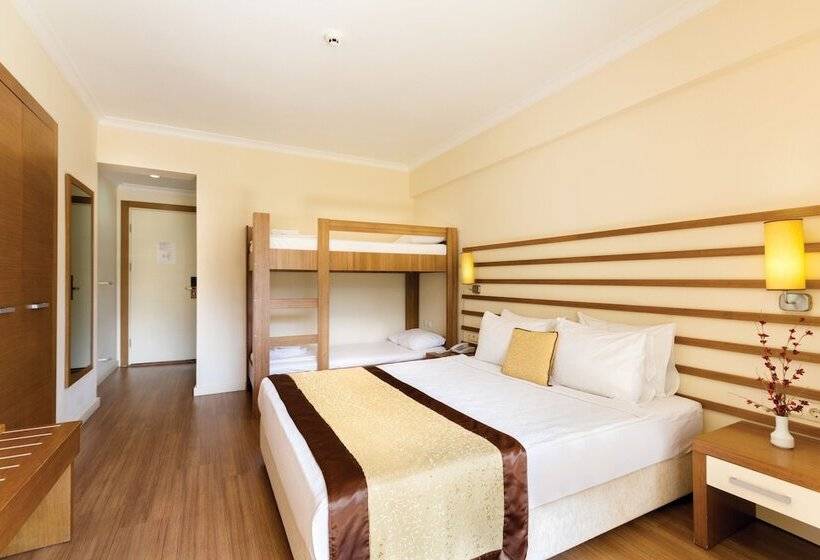 חדר סטנדרט, Akbulut