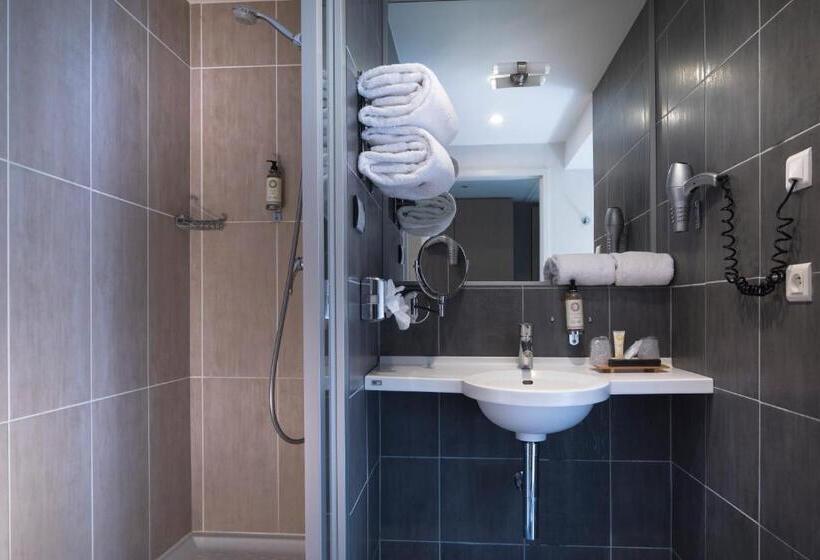 اتاق لوکس با چشم‌انداز دریاچه, Best Western Plus Hotel Les Rives Du Ter