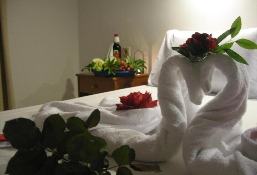 海の見えるスタンダードスタジオ, Despina Studios