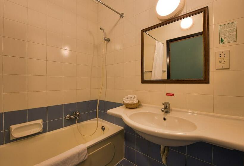 Standard Yhden Hengen Huone, The St. George’s Park