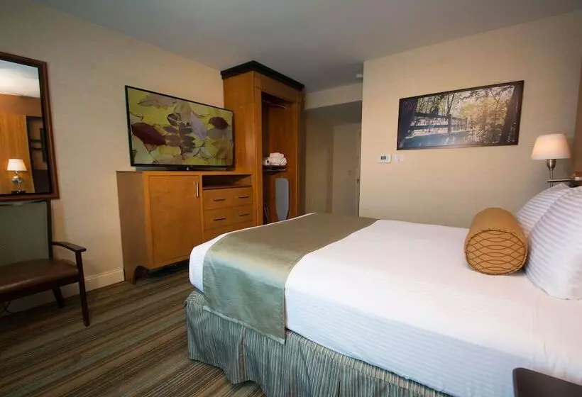 ２ダブルベッドのスタンダードルーム, Best Western Queens Gold Coast