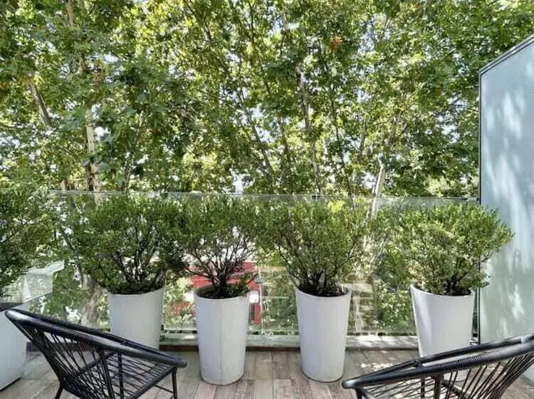 اتاق کلاسیک, Ilum Experience Home