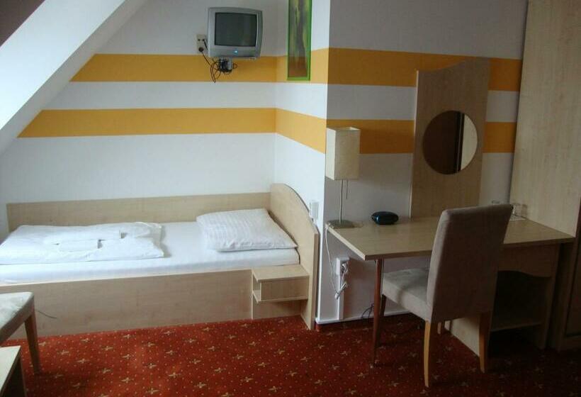 اتاق استاندارد یک نفره, Lenas Donau