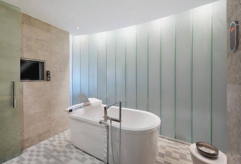 חדר פרמיום, Park Hyatt Istanbul Macka Palas