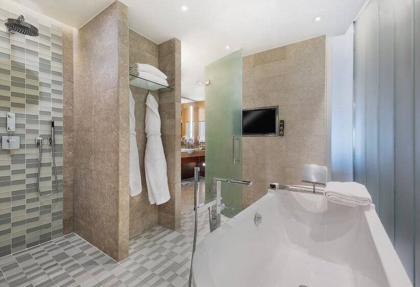 חדר פרמיום, Park Hyatt Istanbul Macka Palas