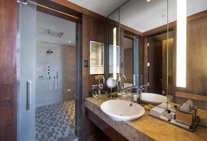 テラス付スイート, Park Hyatt Istanbul Macka Palas