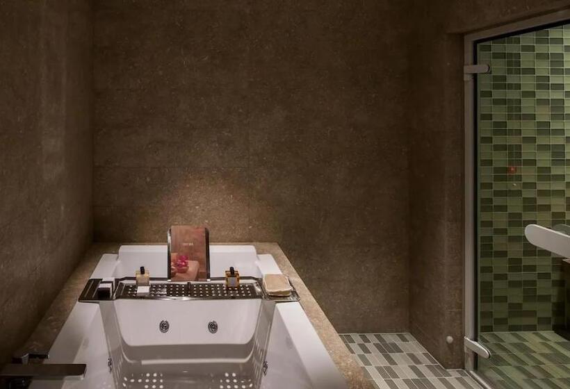 סוויטת פרמיום, Park Hyatt Istanbul Macka Palas