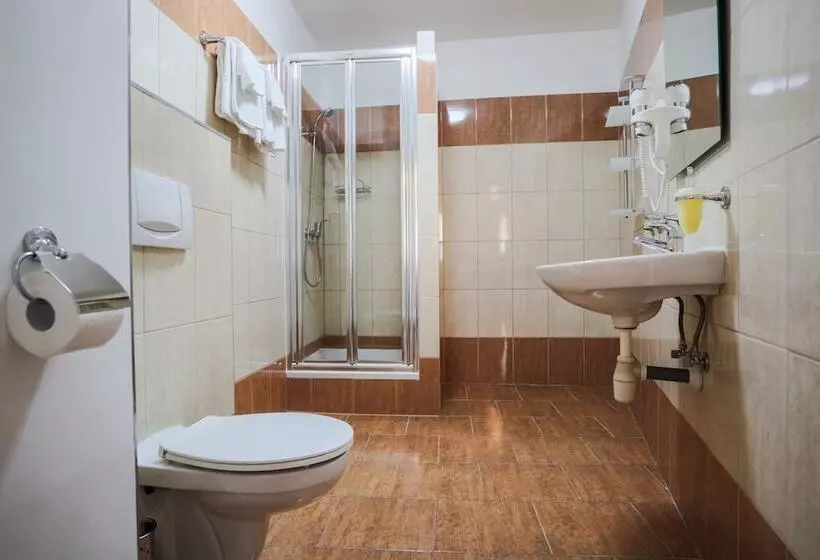 Standard-huone, Pension U Lilie