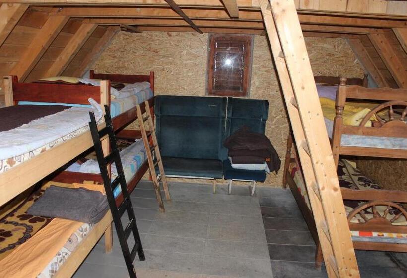 اتاق خانوادگی با سرویس بهداشتی مشترک, Rural Household Minić Kapetanovo Jezero