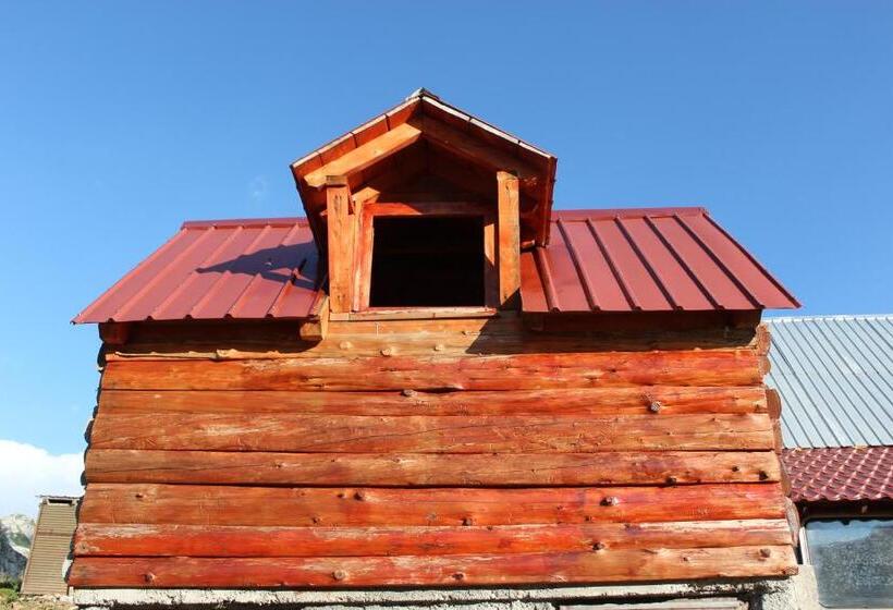 اتاق استاندارد با سرویس بهداشتی مشترک, Rural Household Minić Kapetanovo Jezero