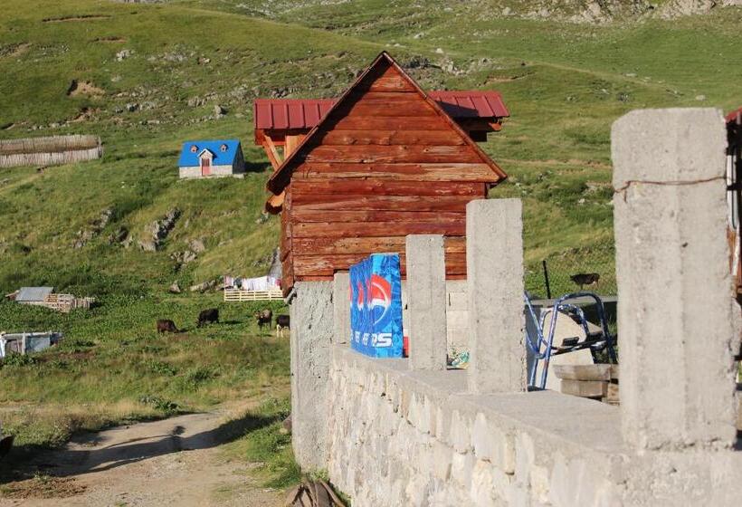 اتاق استاندارد با سرویس بهداشتی مشترک, Rural Household Minić Kapetanovo Jezero