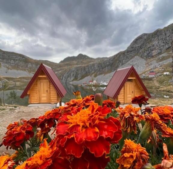 بانگلوی استاندارد, Rural Household Minić Kapetanovo Jezero