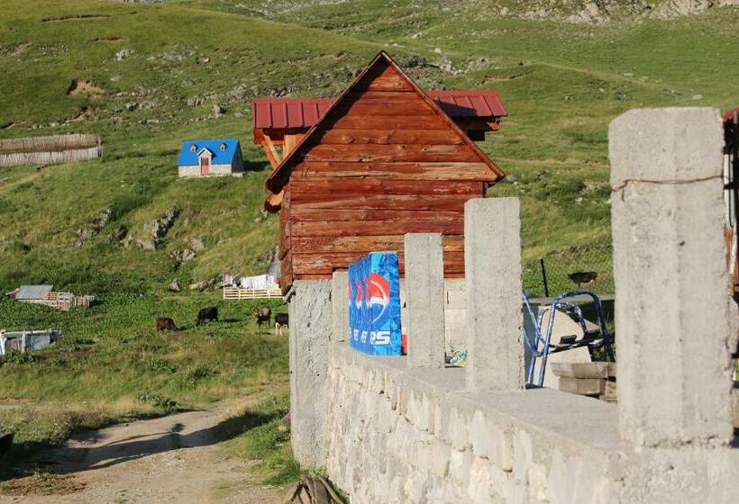اتاق خانوادگی با سرویس بهداشتی مشترک, Rural Household Minić Kapetanovo Jezero