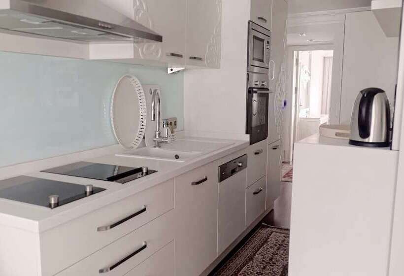 آپارتمان لوکس 1 خوابه, Ada Hotel Istanbul