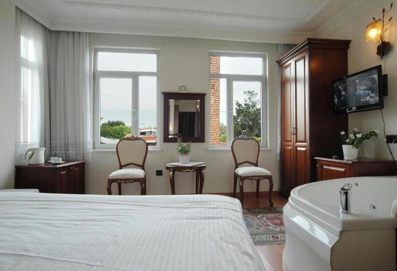 اتاق استاندارد با چشمانداز دریا, Ada Hotel Istanbul
