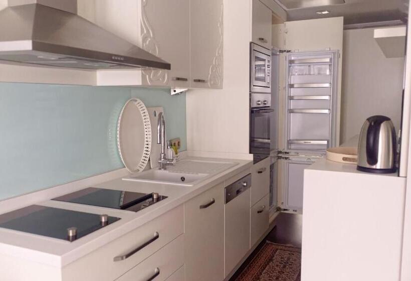 آپارتمان 1 خوابه با بالکن, Ada Hotel Istanbul