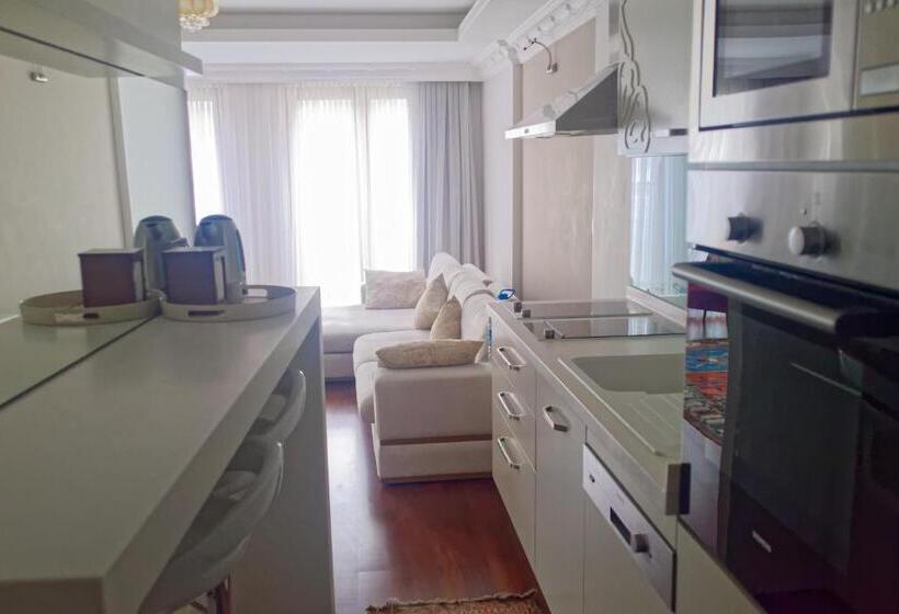 バルコニー付き１ベッドルームアパートメント, Ada Hotel Istanbul