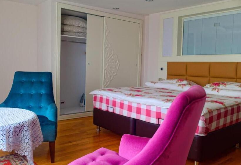 آپارتمان 1 خوابه با بالکن, Ada Hotel Istanbul