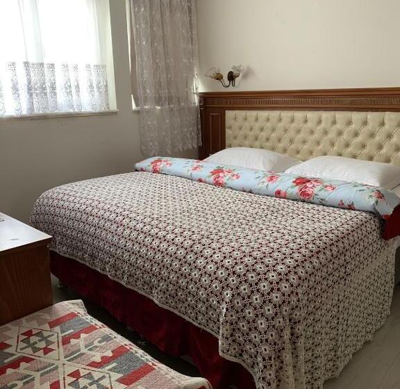 اتاق اکونومی, Ada Hotel Istanbul